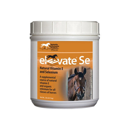 Elevate SE Vitamin E and Selenium for Horses 2 lbs by Kentucky Performance Products For Sale