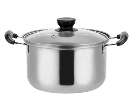 Stainless Steel Induction Pot 20 CM Cheap