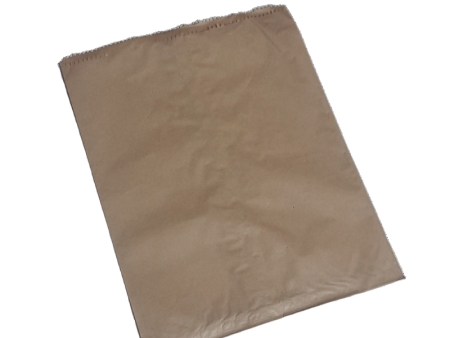 Paper Bag for Packing 100 pcs Online