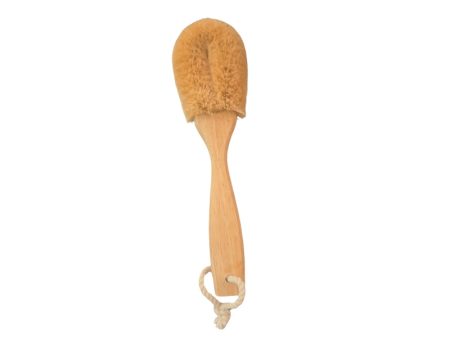 Eco-Friendly Kitchen Brush For Discount